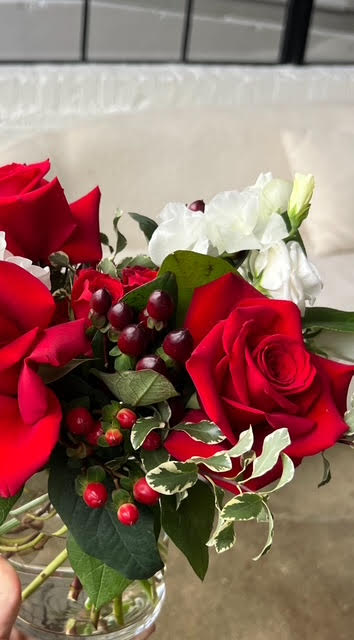 Holiday Designer's Choice