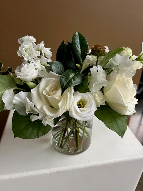 Blanco - Seasonal Designer's Choice