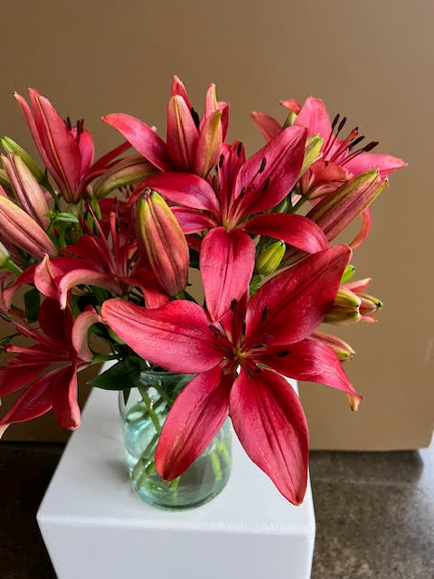 Renata - Red LA Lillies