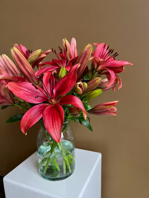 Renata - Red LA Lillies